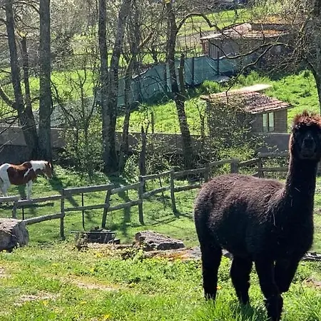La Source Du Rey Avec Terrasse Et Jardin Appartement