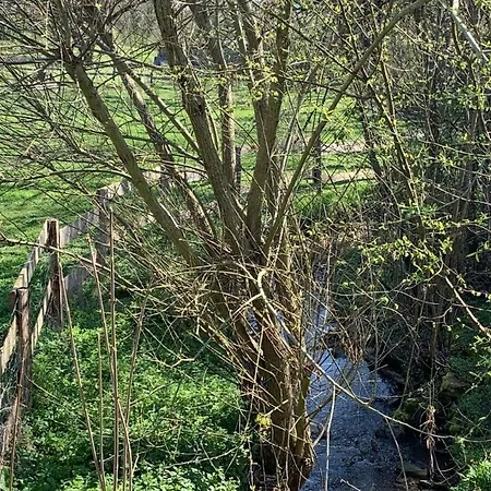 La Source Du Rey Avec Terrasse Et Jardin Apartman