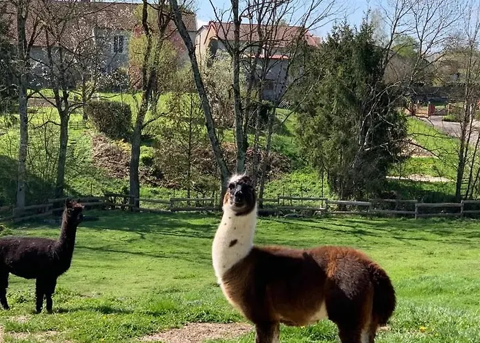 La Source Du Rey Avec Terrasse Et Jardin